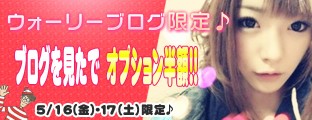 ブログを見たでオプション半額