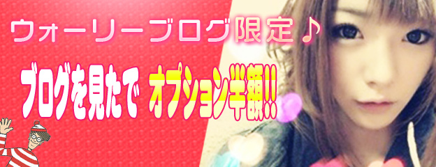 ブログを見たでオプション半額