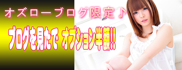 オズローブログオプション半額